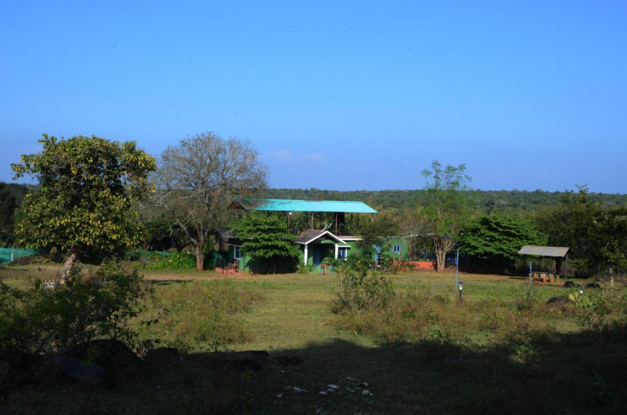 Aarraams Farms & Resorts Masinagudi Exterior foto